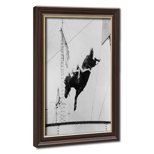 Toile vintage cheval plongeant noir et blanc pour décoration murale de salon et bureau