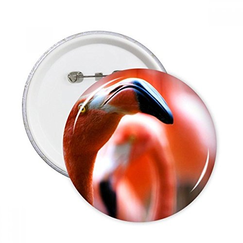 Pins Flamingo badge bouton rond motif animal sauvage multicolore décoration vêtement