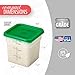 Cambro Food Storage Container with Lid (Microwave Safe and BPA-Free) - 2 Pack - Classic Series Square with Green Lid - 4 QT (Quart) - Commercial Grade for Food Prep (Translucent)