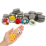 Hisredsun Painting Rock, 40pcs Pebbles for Arts and Craft Painting, Smooth Pebbles for Painting, Natural River Stone 3-5cm (Rock 40PCS)