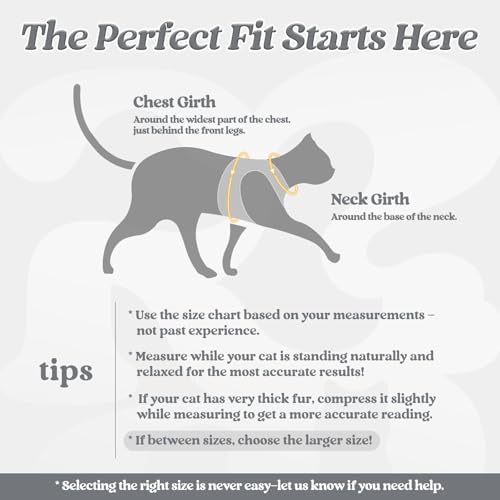 Image of rabbitgoo Cat Harness and Leash Set, Step-in Soft Vest, Grey | Escape Proof, Lightweight, Easy-on & Adjustable, Hook & Loop with Buckle, Reflective, for Kittens & Small Cats Walks, S