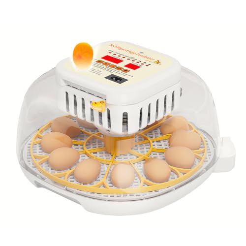 Umisu Incubadora automática de huevos con volteo automático, control automático de temperatura, para 12 huevos, incubadora digital para granja