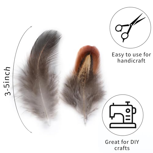 image for Soarer Mixed Natural Craft Feathers - 300pcs 3-5inch Natural Feathers 