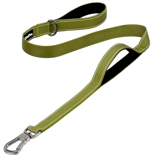 PetiFine 4FT Heavy Duty Dog Leash with Soft Padded Double Handle, Durable Strong Clasp Dog Leashes, Reflective Nylon Walking Lead for Large,Medium,Sma