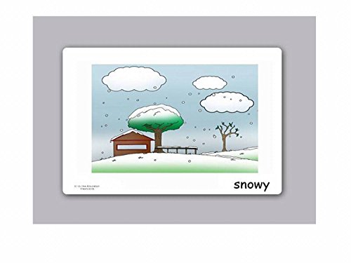 Yo-Yee Flash Cards - Schede illustrate per