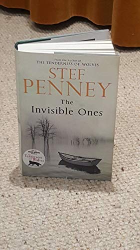 Invisible Ones 0857382926 Book Cover