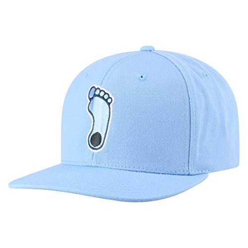 Top of the World North Carolina Tar Heels Men s Flat Brim Fitted Hat Team Icon, Adjustable