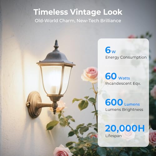 GvvooHome Dimmable LED Edison Bulbs, 4000K Daylight White, 6W Equivalent to 60 watt E26 LED Bulb, ST58 Vintage Light Bulbs, 600LM, 90+ CRI, E26 Base, Clear Glass, 18 Pack by GvvooHome - Image 2