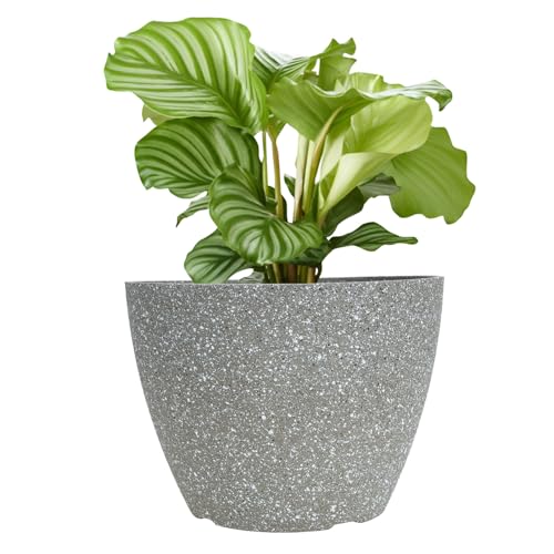 Lurrose Maceta de Resina para Plantas Suculentas Maceta Extra Grande de 7.3 Pulgadas en Color Beige Diseño Imitación Cemento Adecuado para Decoración de Interior y Patio