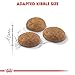 ROYAL CANIN Outdoor | 400 g | Trockenfutter für Katzen | Für ausgewachsene Katzen (vom 1. bis zum 7. Lebensjahr) mit häufigem Freilauf und regelmäßiger Bewegung