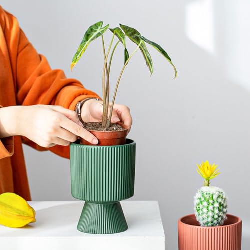 Pot pour plantes d'intérieur pour embellir une chambre à coucher sombre - 5
