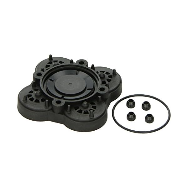 Flojet 20407030 Check Valve Assembly Kit Commercial Valves and Fittings