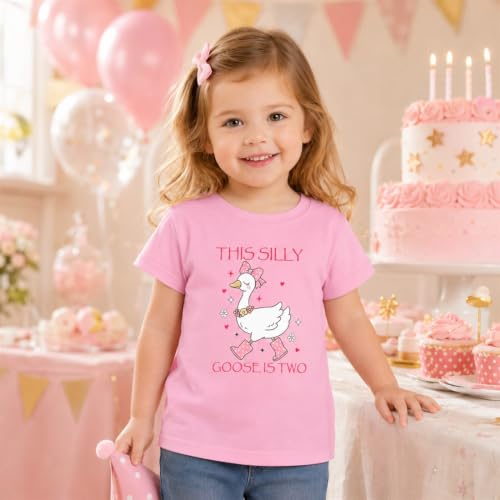 Image of Toddler Girls 2nd Birthday Shirt Outfit for Girls Cute Two Years Old Birthday Gift
