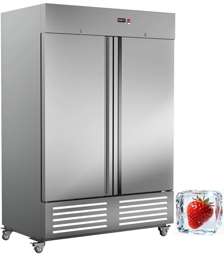 LCEKY Commercial Refrigerator 54 W 2 Door Stainless Steel Commercial Refrigerator 49 Cu.ft Fridge for Restaurant Bar Shop Upright