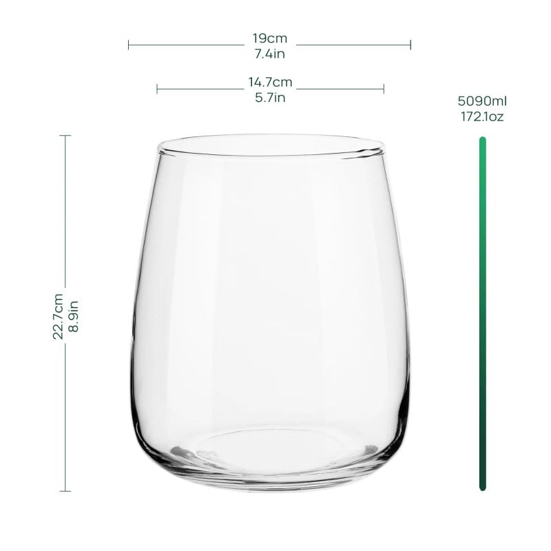 TREND FOR HOME Glasvase groß H: 22,7 cm Vase für Pampasgras Glas, Blumenvase für Pampasgras, Vasen Glas für Hochzeitstulpen Weite Öffnung, Ø 19 cm, Zinnie – Bild 3