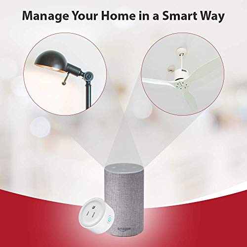 Pivoi Smart Plug Alexa