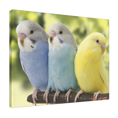 A[gplǊ| 킢CR2 ?Ǒ?z _ |X^[  k|X^[ \t@wiAoX[N̗ǂ|[`Aؐt[free Size