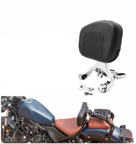 Sissy barre pour Vulcan VN 900 Custom avec dossier de passager pliable premium