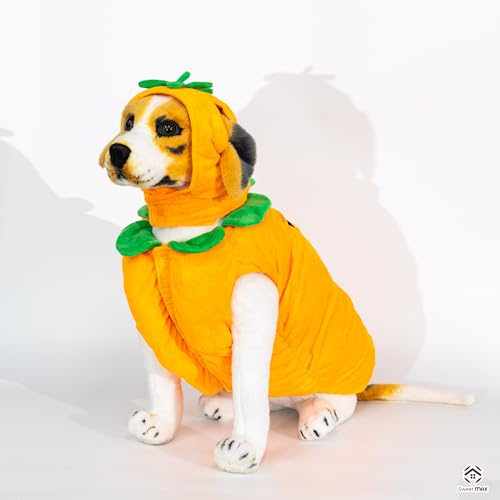 Disfraz de Calabaza para Perros Talla M miniatura 4