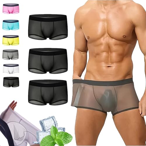Niksy Underwear, Men's Transparent Breathable Briefs, Niksy Mens Ultra-Thin Ice Silk Transparent Boxer Briefs