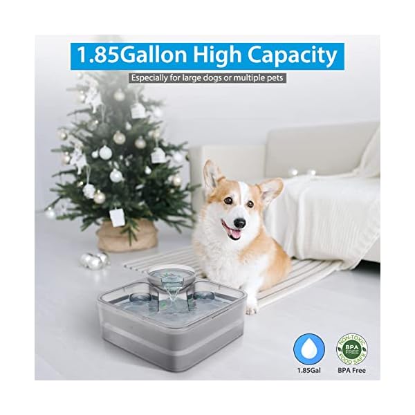 Pet Water Dispenser for Large Dogs