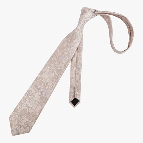 Image of Alizeal Mens 3.15'' Vintage Paisley Tie Pocket Square Set