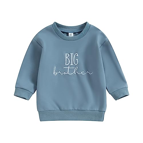 Image of Frietlebird Big Brother Little Brother Matching Outfits Toddler Baby Boy Crewneck Sweatshirt Pullover Shirt Fall Clothes