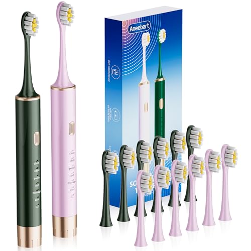 Aneebart Electric Toothbrush, USB Rechargeable Toothbrush with 12 Brush Heads, 6 Modes