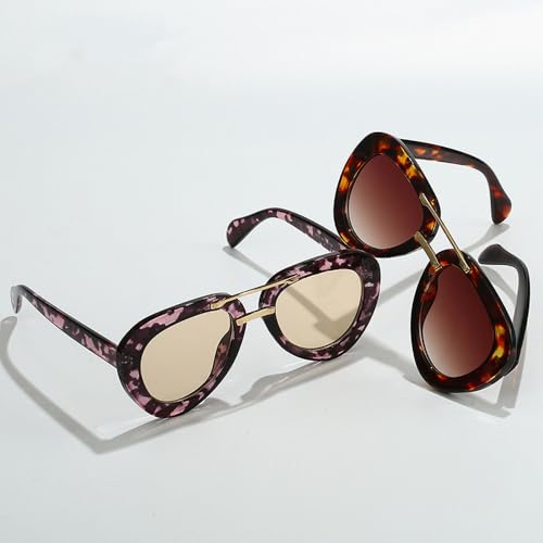 Lunettes de soleil nuances dégradées à la mode design double pont
