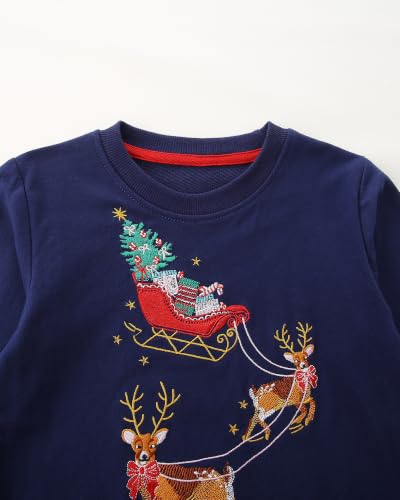 Image of Hongshilian Unisex Kids Cute Cartoon Cotton Sweater Shirt