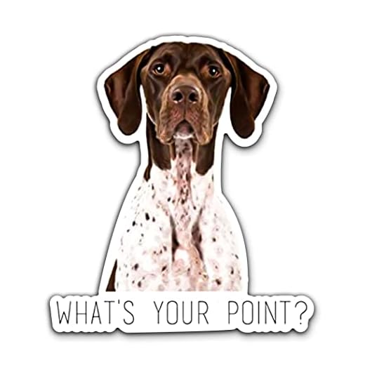 WSQ German Shorthaired Pointer What's Your Point Vinyl Decal Sticker Premium Quality Multiple Colors For Car Bumper Truck Van SUV Window Wall Boat Cup Tumblers Laptop or Any Smooth Surface Size 5 Inches