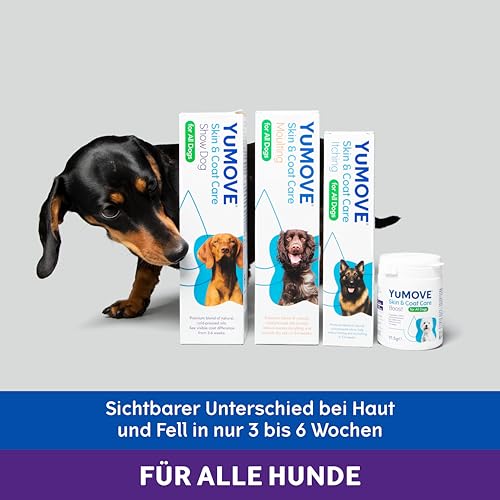YuMOVE Haut und Fell Hund Ergänzungsmittel - 91,5 g Pulver 180 Portionen - Für alle Hunde - Nährt Haut und Fell von innen - Glänzendes Fell und Hautschutz - Mit Omega-Fettsäuren - Hautpflege für Hunde