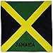 Flag Bandana - Bandana With Flag Print (Black Green)