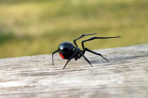 Glass black Widow Figurine Blown Glass Spider hand blown glasses BLACK WIDOW