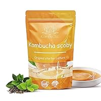 KombuChic | Kombucha Scoby Starter-Set Teepilz + Zubereitungstipps, Grundrezeptsanleitung + kostenloses eBook