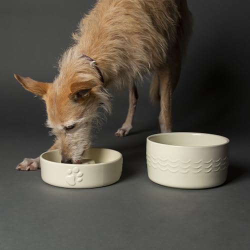 Scruffs Icon Slow Feeder & Drink Bowl Set – Cream 20cm