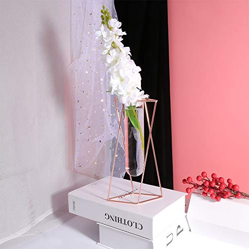 Aoderun Glass Flower Vase With Metal Stand Modern Geometry Desktop Glass Planter Indoor Hydroponics Plants For Home Office Garden Wedding Decor (Rose Gold, L) #TOP2