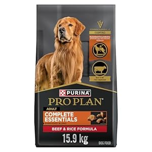 Purina Pro Plan Complete Essentials Dry Dog Food, Shredded Blend Beef & Rice – 15.9 kg Bag