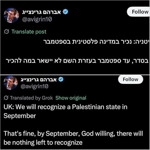 Hasbara at home: A deep dive into Zionist Hebrew media w/ Dror Dayan