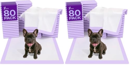 Image of GREEN LIFESTYLE Pee Pads - Super Absorbent & Leak-Proof Pee Pads for Dogs - Puppy Pads - Waterproof Dog Pads, Dog Training Pads for Cats, Rabbits (Pack of 160 - 22x22)