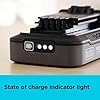 BLACK+DECKER 20V MAX POWERCONNECT 2.0 Ah Battery with State of Charge Indicator Light (LBD2020S)