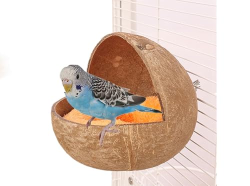 ISUPY ̃nEX RRibcM VRf ̉ B  IE CR nX^[ Q Vя P[WANZT[ (^CvA/}bgt)