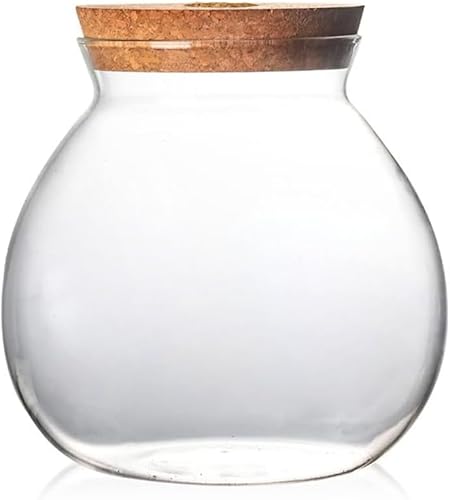 Miniatura 7 de Cuencos pequeños de cristal para pecera Betta Fish Goldfish, acuaponic pecera y esquejes de plantas, plantador terrario decoración de escritorio