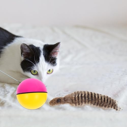 Juguete de balones eléctricos para evitar aburrimiento de mascotas COMPUKAS 6
