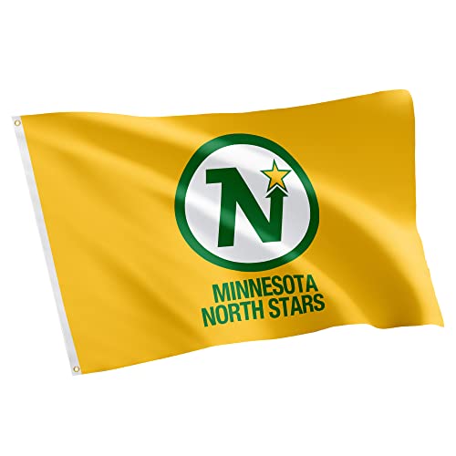 Desert Cactus Minnesota North Stars Flag NHL 100% Polyester Indoor Outdoor 3x5 feet National Hockey League Team Flags (Vintage Flag #2)