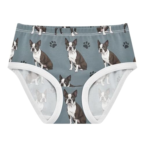 Cute Dogs Blue Gray Toddlers Underwear Floral 2t Cotton Panties Little Girl Stylish Briefs Kids Undies