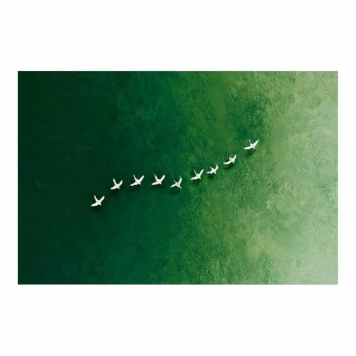 Art mural sur toile oiseaux blancs décoration haut de gamme 40x60