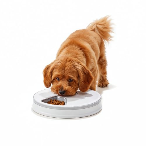 Image of Amazon Basics Automatic Rotating Tray Pet Feeder | 6-Meal Timer | Programmable Feeding with LED Display | Portion Control for Cats & Dogs | White (Plastic) (Standard)