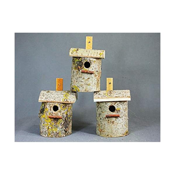 Damian-Wiklina Vogelhaus, Nistkasten, Birkennesthöhle 16 x 12 cm (32mm) – Bild 8