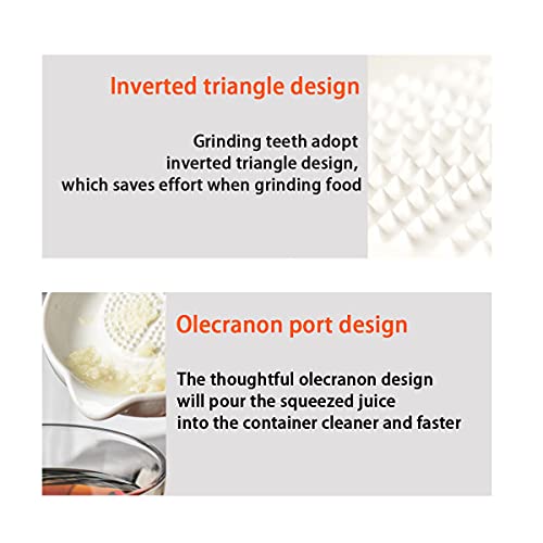 Image of ZRM&E Porcelain Grater Plate White Ceramic Multipurpose Grinder Plate Burnishing Machine for Fruits Vegetables Ginger Garlic Onion